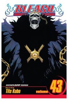 Bleach, Vol. 43