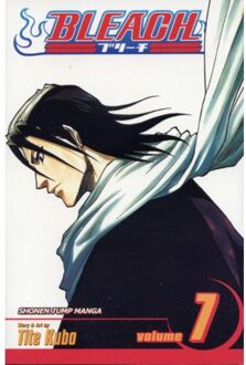 Bleach, Vol. 7