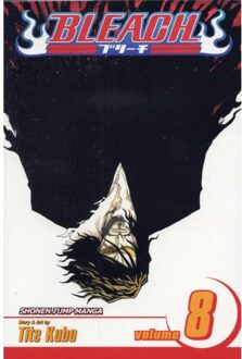 Bleach, Vol. 8