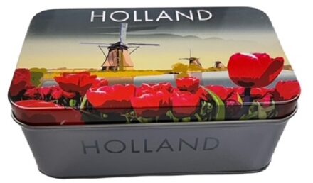 Blik Holland City 14x8,5x5,5cm multi