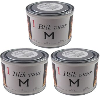 Blik vuur tuinfakkel - 3x - 11 x 7 cm - 4 branduren - verlichting in blik - tuinkaars