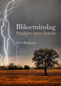 Blikseminslag - Boek Carel Blotkamp (9462621519)