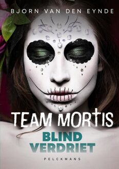 Blind Verdriet - Bjorn Van den Eynde - ebook