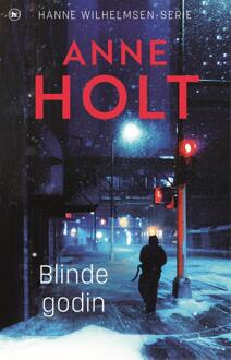 Blinde godin -  Anne Holt (ISBN: 9789044369458)