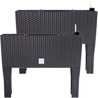 Bloembak/plantenbak op poten Rato - 2x stuks - met irrigatiesysteem - antraciet - 60 x 25 x 46 cm