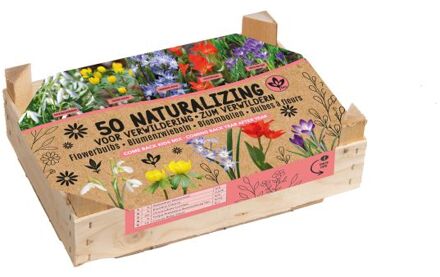 Bloembollen mix - in Kistje - Multi - 50 stuks