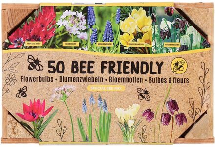 Bloembollen mix - in Kistje - Multi - 50 stuks