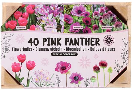 Bloembollen mix - in Kistje - Roze - 40 stuks