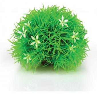 bloemenbal madeliefje