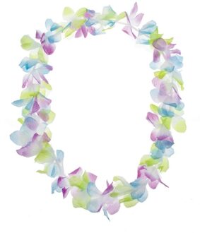 Bloemenkrans Brighting Ceder Multikleur - Print