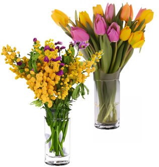 Bloemenvaas Anna - 2x - helder transparant glas - D11,5 x H20 cm - decoratieve vaas - bloemen/takken