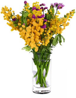 Bloemenvaas Anna - helder transparant glas - D11,5 x H20 cm - decoratieve vaas - bloemen/takken