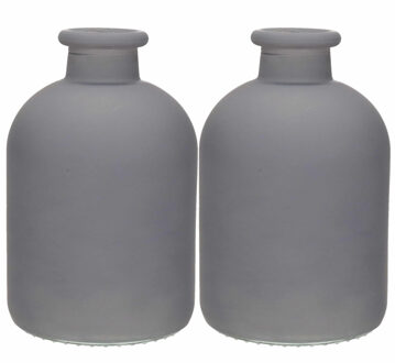 bloemenvaas Avignon - 2x - Fles model - glas - mat grijs - H17 x D11 cm