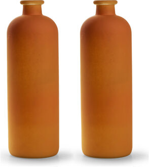 bloemenvaas Avignon - 2x - Fles model - glas - mat oranje - H33 x D11 cm
