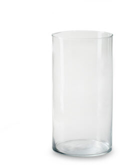 Bloemenvaas Chelsea - helder transparant - glas - D12,5 x H25 cm - cilinder vaas