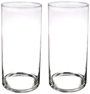 Bloemenvaas cilinder - Set van 2x stuks - transparant glas - D19 x H40 cm - cilinder model - boeketv