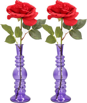 Bloemenvaas Florence - 2x - voor kleine stelen/boeketten - paars glas - helder - D8,5 x H23 cm