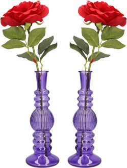 Bloemenvaas Florence - 2x - voor kleine stelen/boeketten - paars glas - ribbel - D8,5 x H23 cm