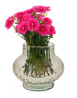 Bloemenvaas Holly - beige transparant glas - D19 x H16 cm - decoratieve vaas - bloemen/takken - Vazen
