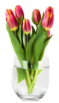 Bloemenvaas Karel - helder transparant glas - D27 x H27 cm - decoratieve vaas - bloemen/takken