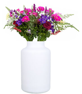 Bloemenvaas Milan - mat wit glas - D15 x H25 cm - melkbus vaas met smalle hals - Vazen