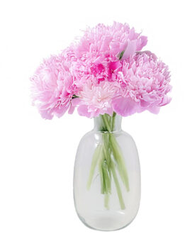 Bloemenvaas Mira - fles vaas - transparant glas - D21 x H37