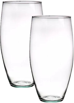 Bloemenvaas Raine - 2x - helder transparant glas - D13 x H25 cm - decoratieve vaas - bloemen/takken