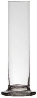 Bloemenvaas smal model - voor 1 bloem - 25 x 6 cm - transparant