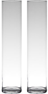 Bloemenvaas smal - Set van 2x stuks - Transparant - cilinder vorm - glas - 50 x 9 cm