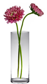 bloemenvaas - Transparant - glas - D19 x H60 cm - Cilinder vormig - Vazen