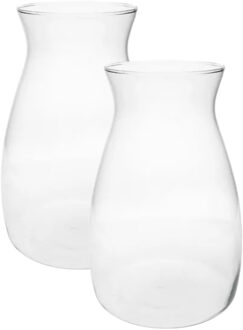 Bloemenvaas Yann - 2x - helder transparant glas - D20 x H30 cm - decoratieve vaas - bloemen/takken