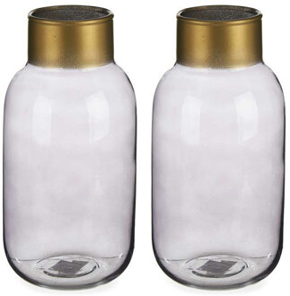 Bloemenvazen 2x stuks - luxe decoratie glas - grijs/goud - 14 x 30 cm - Vazen Transparant