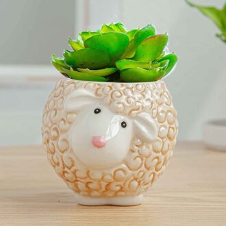 Bloempot Leuke Dier Pot Keramische Vetplant Pot Cactus Gepot Planten Bonsai Potten Set Tuin Potten Plantenbakken