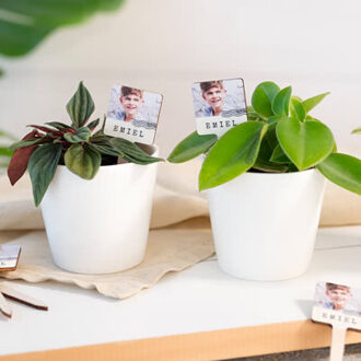 Bloempot met full color print plantensteker - set van 12