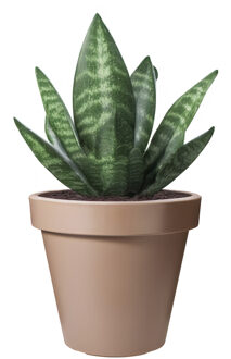 Bloempot - mokka bruin - rond - D25 cm - kunststof