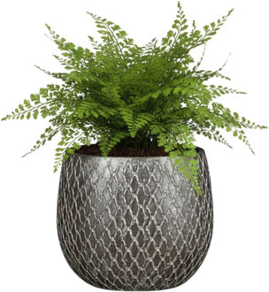 Bloempot / plantenpot Madeira - zilver - 14 x 14 cm