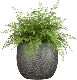 Bloempot / plantenpot Madeira - zilver - terracotta - 23 x 23 cm