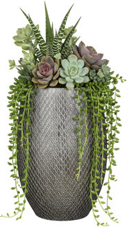 Bloempot / plantenpot Madeira - zilver - terracotta - 30 x 50 cm