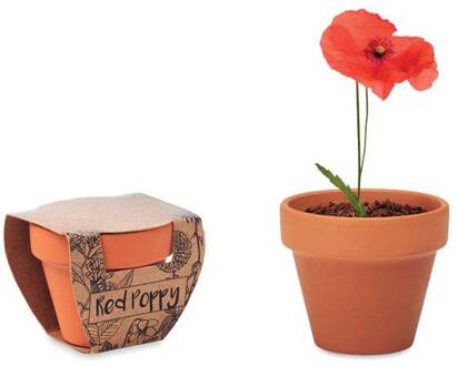 Bloempotje met klaproos