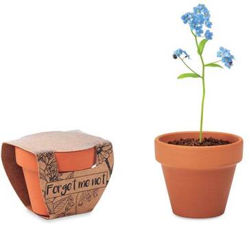 Bloempotje Vergeet me nietje