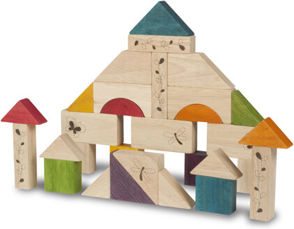 Blokken Wonderworld: 30 Stuks