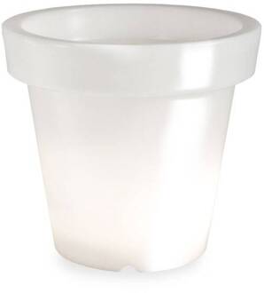 Bloom POT 90 no light