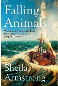 Bloomsbury Falling Animals - Sheila Armstrong