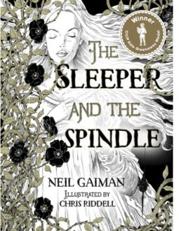 Bloomsbury Sleeper and the Spindle - Boek Neil Gaiman (1408859645)