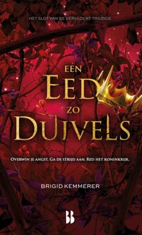 Blossom Books Een eed zo duivels - Brigid Kemmerer - ebook