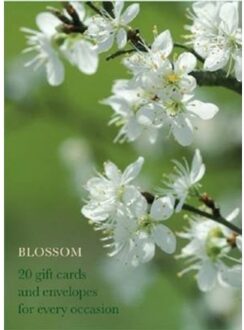 Blossom Large Card Box - Anness Publishing
