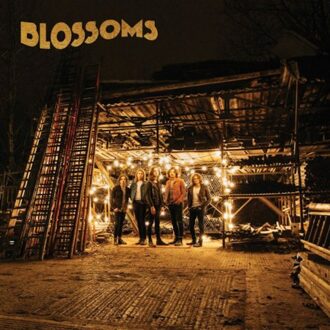 Blossoms (LP)