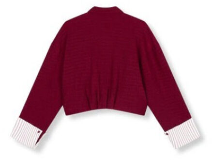 Blouse lange mouw r2509958744 Rood