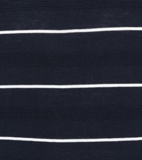 BLUE INDUSTRY Pullover Stripe Donkerblauw