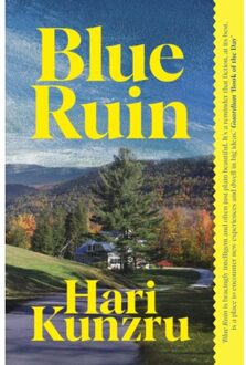 Blue Ruin - Hari Kunzru